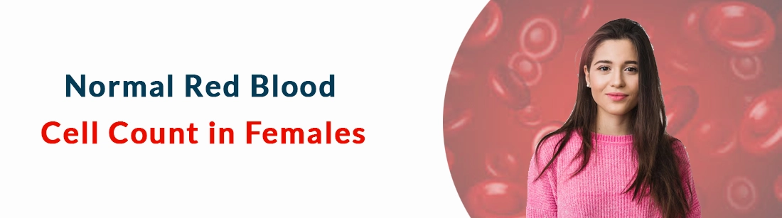 Normal Red Blood Cell Count in Females